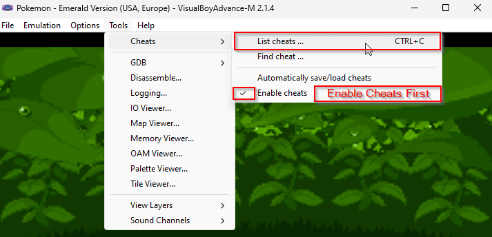 enable-cheats-on-visual-boy-advance.png